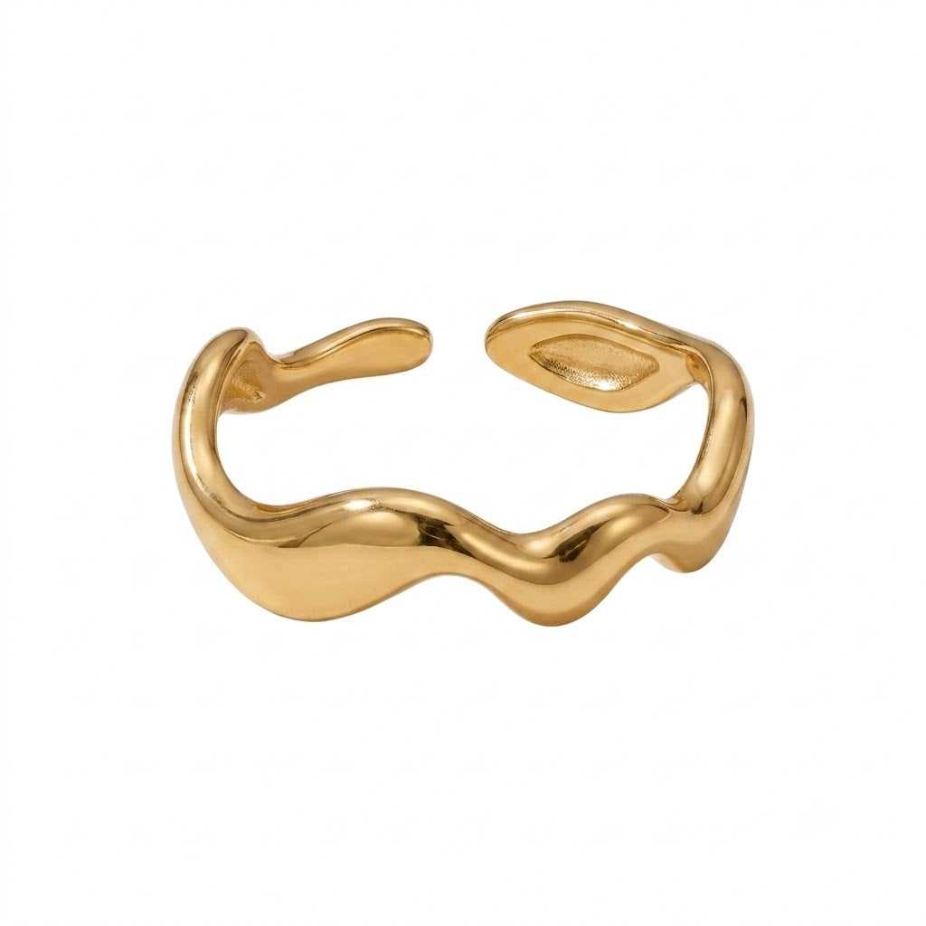 Anillo Duna