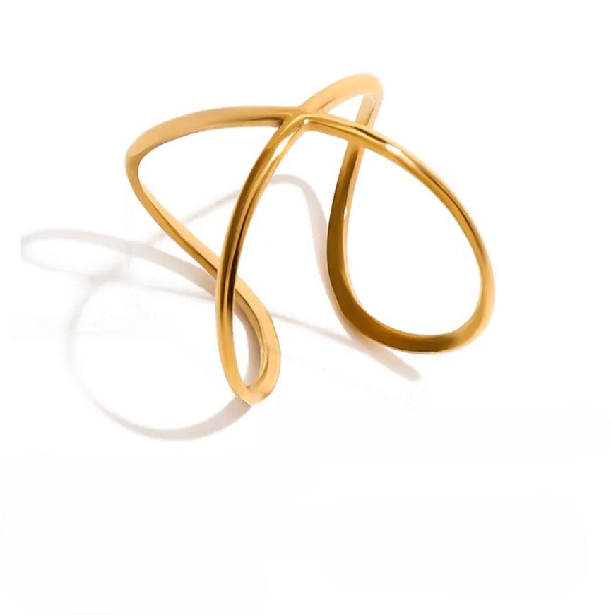 Anillo Infinito