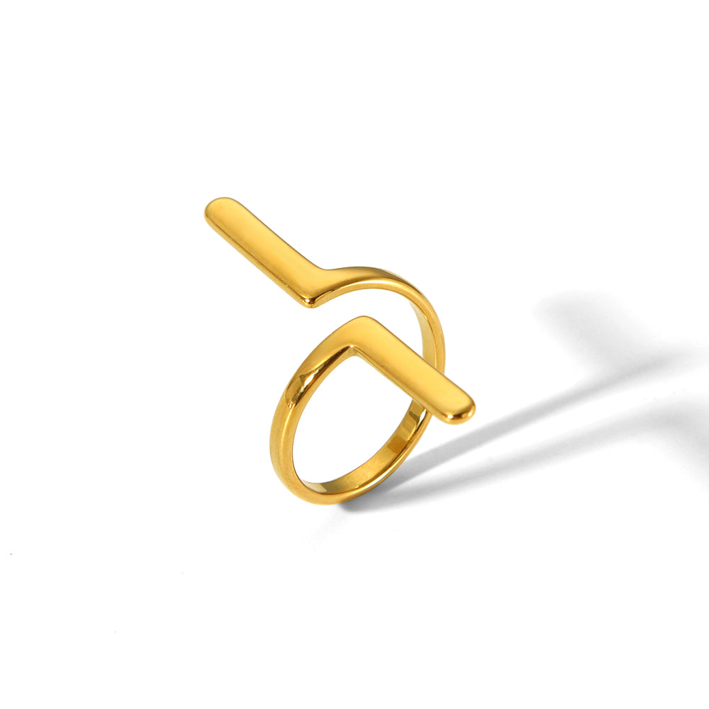 Anillo Eje