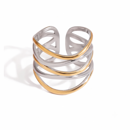 Anillo Fusión