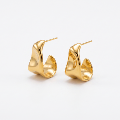 Aretes Duna