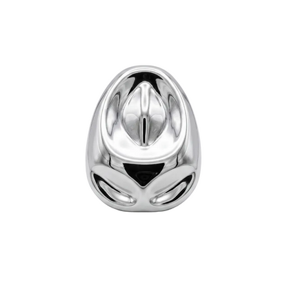 Anillo Origen
