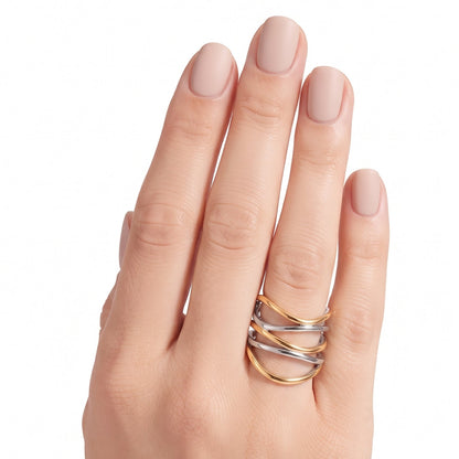 Anillo Fusión
